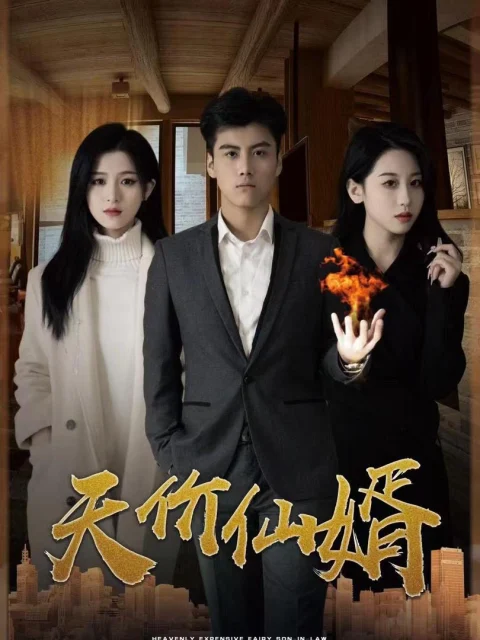 Xem phim Chàng Rể Thiên Kim