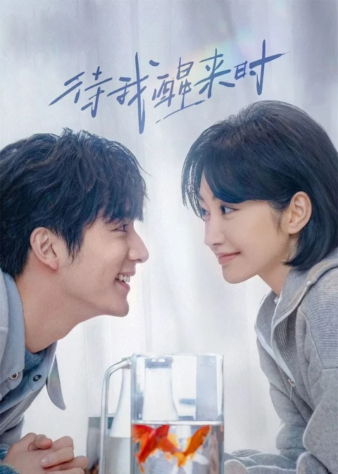 Xem phim Đợi Khi Tôi Tỉnh Lại