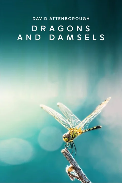 Xem phim Loài Chuồn Chuồn