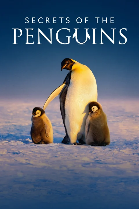 Xem phim Secrets of the Penguins